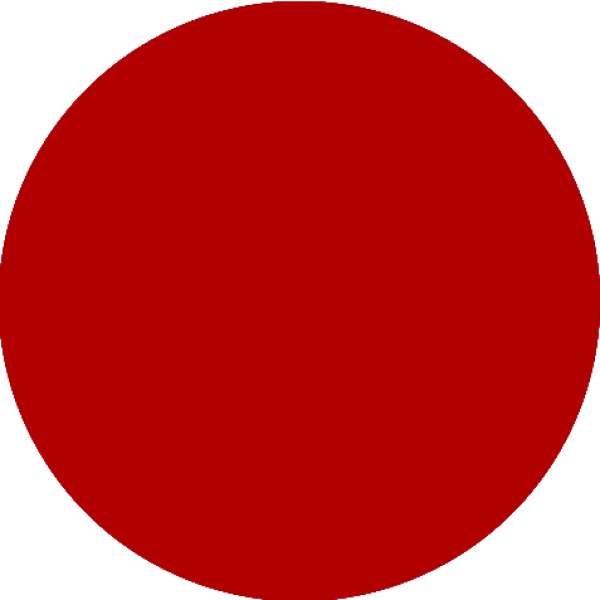 Esmalte permanente Rubí NTMY 15ml